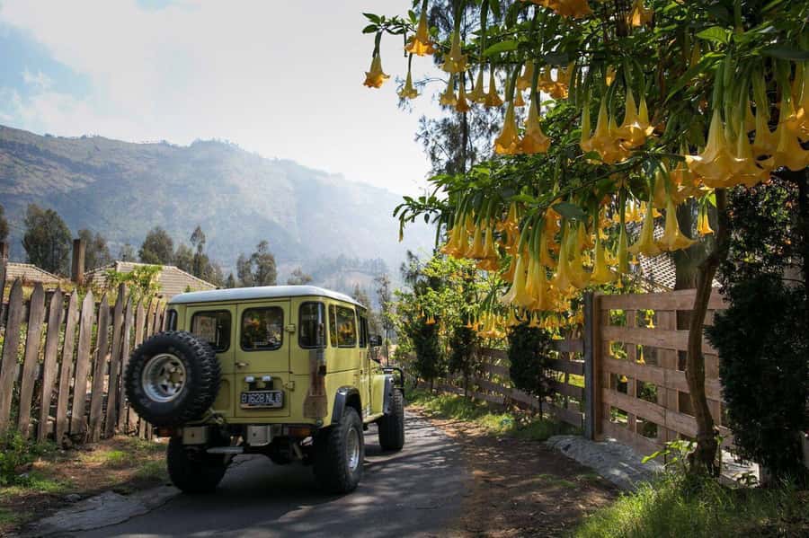 From Bali or Java: Bromo & Kawah Ijen – 3-Day Adventure - Key Things That Make This 3-Day Bromo and Ijen Adventure Worth It