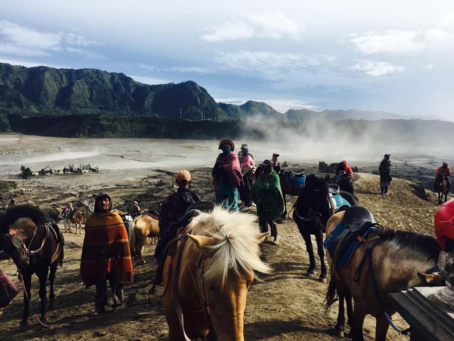 From Bali or Java: Bromo & Kawah Ijen – 3-Day Adventure - Rooms, Showers, and What Comfort Looks Like Here