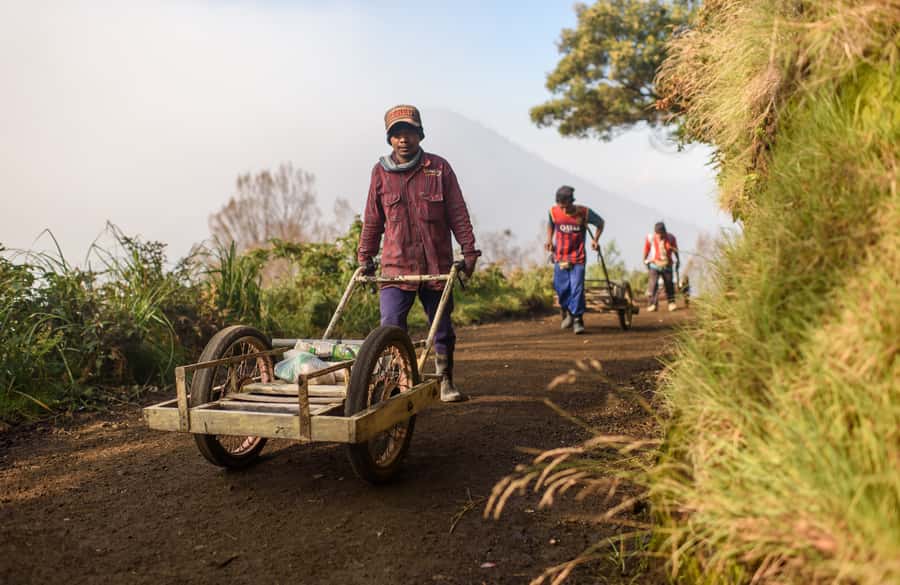 From Bali or Java: Bromo & Kawah Ijen – 3-Day Adventure - Price and Value: Why $286 Can Make Sense for Two Volcanoes in 3 Days