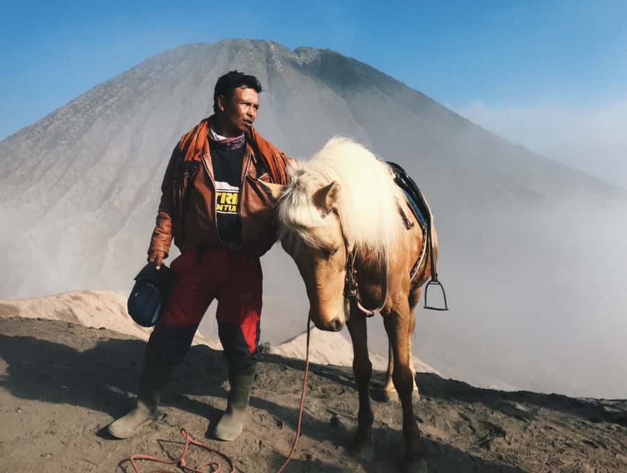 From Bali or Java: Bromo & Kawah Ijen – 3-Day Adventure - From Bromo to Ijen: Long Drives, Short Breaks, and Staying Sane