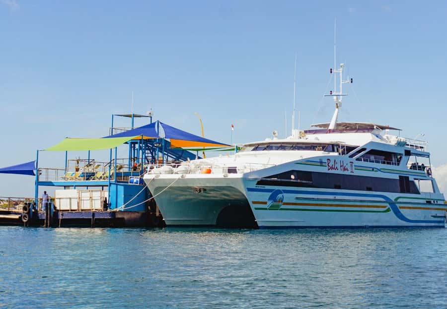 From Bali: Reef Cruise Day Trip to Nusa Lembongan - A Full-Day Reef Cruise From Benoa Harbour To Nusa Lembongan