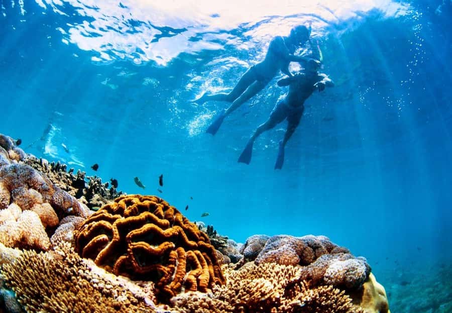 From Bali: Reef Cruise Day Trip to Nusa Lembongan - The Marine Part: Snorkeling, Coral Viewing, And Lembongan Bay