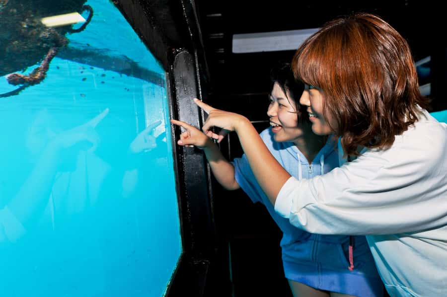 From Bali: Reef Cruise Day Trip to Nusa Lembongan - Coral Reef Restoration Workshop: Why It Matters (Even If You Just Want Fun)