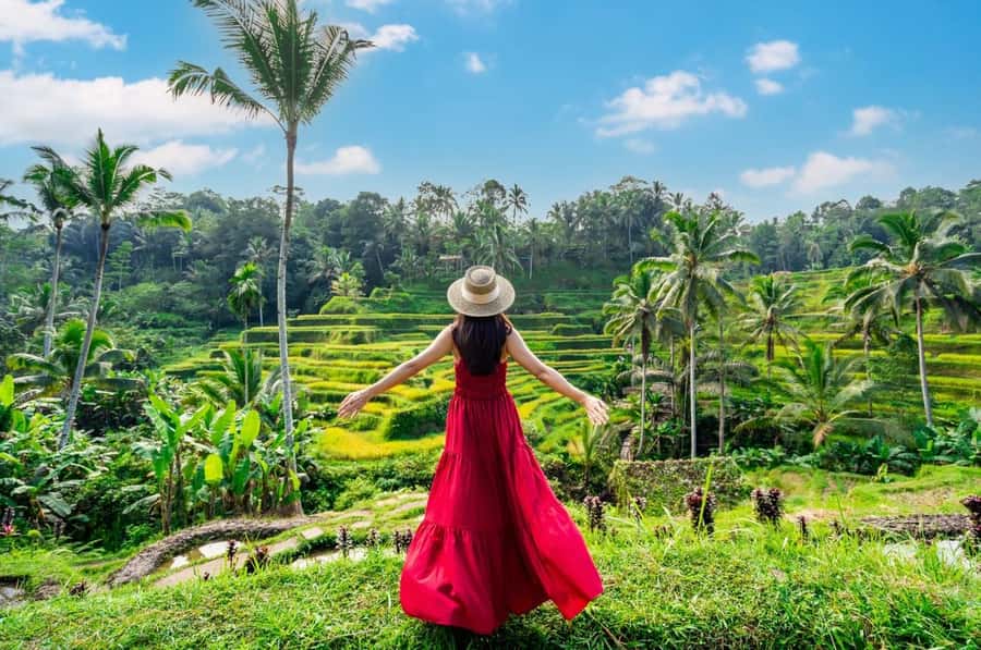 From Bali: Saraswati Temple, Monkey Forest, Ubud Waterfalls - How the route works from start to Ubud