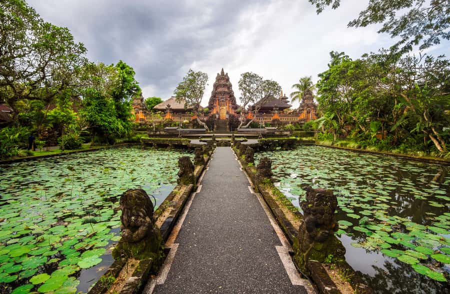 From Bali: Saraswati Temple, Monkey Forest, Ubud Waterfalls - Tegalalang Rice Terrace: how to get the best angles without rushing