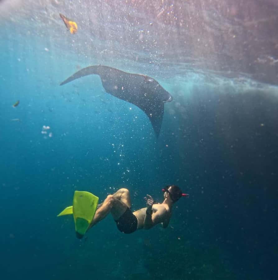 From Bali: Snorkeling 3 Spots with GoPro & West Penida Tour - Key things that make this tour worth your morning