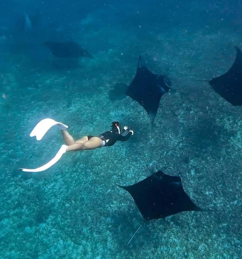 From Bali: Snorkeling at Manta Point Nusa Penida & Land Tour - Why this Manta Point plus West Coast combo is such a smart half-day