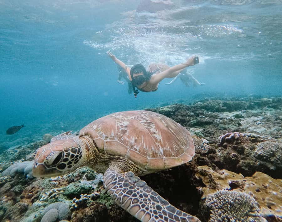 From Bali: Snorkeling at Manta Point Nusa Penida & Land Tour - Morning logistics from Bali and Sanur, and why 7:30 AM matters