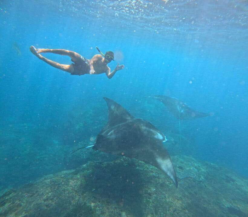 From Bali : Snorkeling & Nusa Penida Island Tour with Lunch - Getting there: Sanur Harbor, the Wijaya Buyuk counter, and the early start