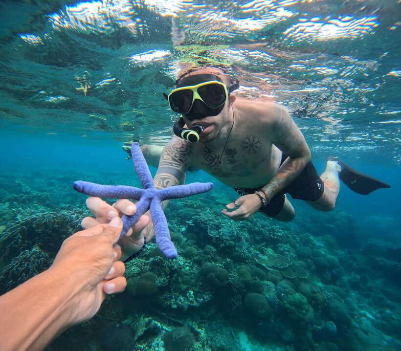 From Bali : Snorkeling & Nusa Penida Island Tour with Lunch - The land tour hits: Kelingking Beach, Broken Beach, and Angel’s Billabong