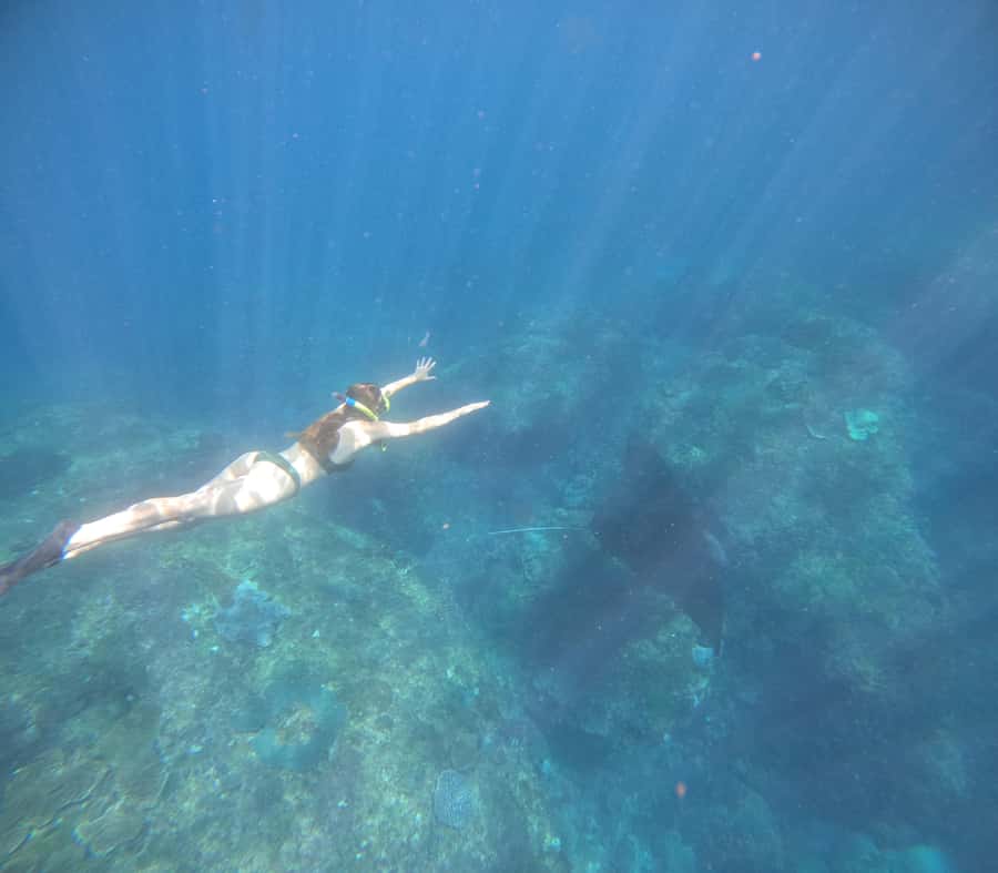 From Ceningan: Snorkeling with Manta Rays & Land Tour - Manta Point snorkeling: the reason people wake up early