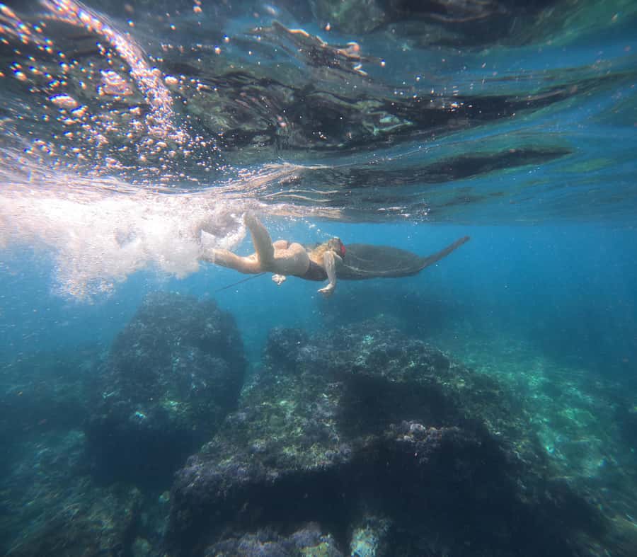 From Ceningan: Snorkeling with Manta Rays & Land Tour - The Wall: a shorter snorkeling burst
