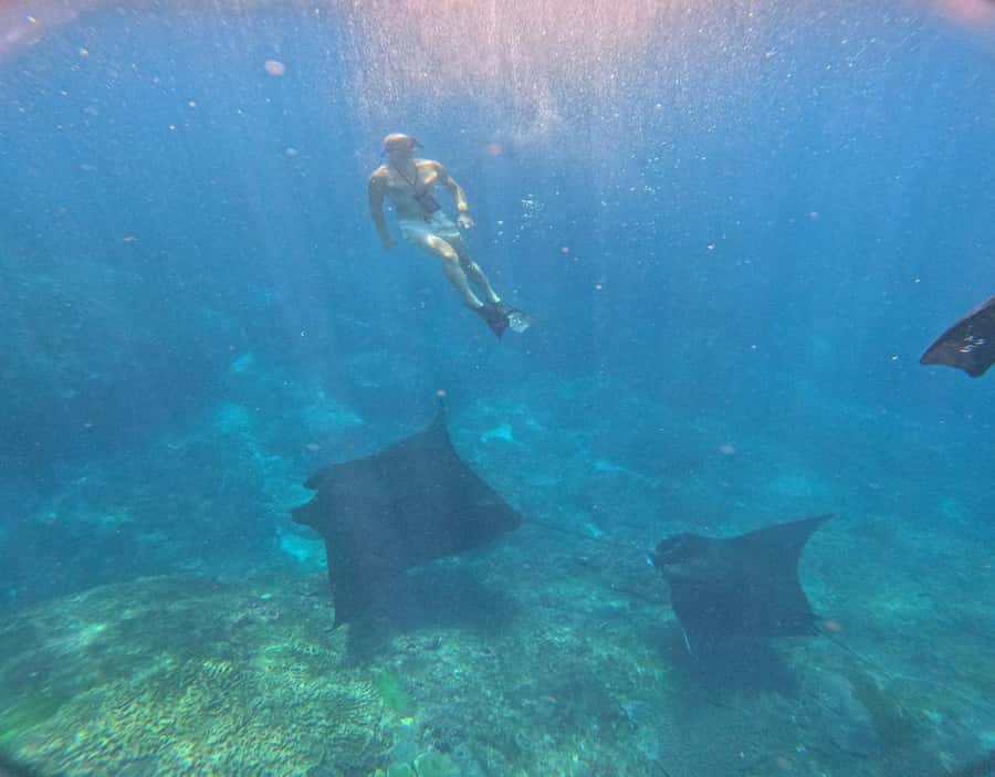 From Ceningan: Snorkeling with Manta Rays & Land Tour - Getting set: meeting point, briefing, and how the day moves