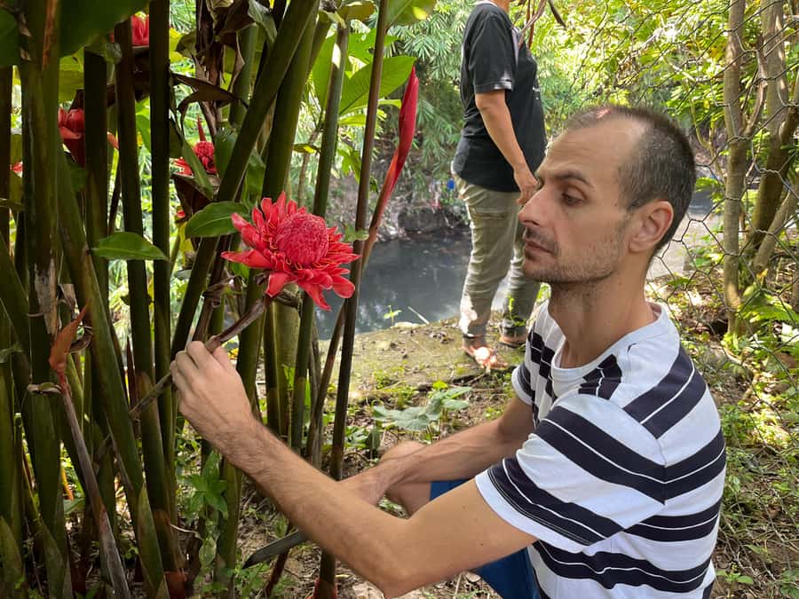 From Garden to Table: Indonesian Cooking Class in Yogyakarta - Key Highlights You Should Know Before You Go