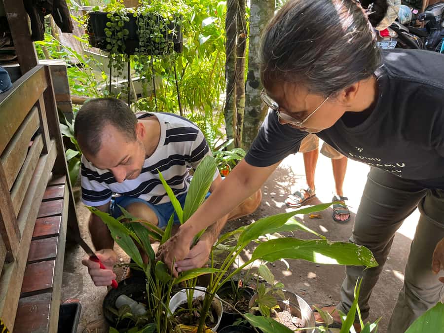 From Garden to Table: Indonesian Cooking Class in Yogyakarta - A Garden Kitchen in Yogyakarta That Feels Personal