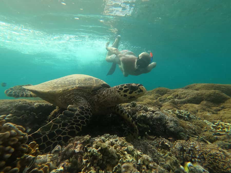 From Gili Air : 3 Islands Snorkeling Trip with Sea Turtles - Setting out from Gili Air, fast
