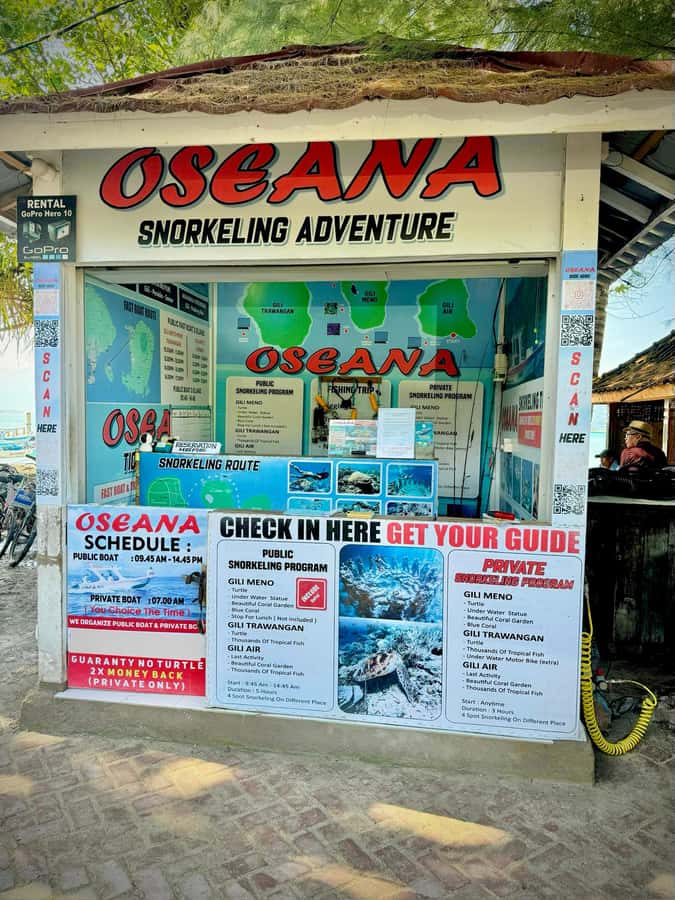From Gili Air: Snorkeling with Turtles & Underwater Statue - Responsible marine rules: how the trip protects turtles and coral