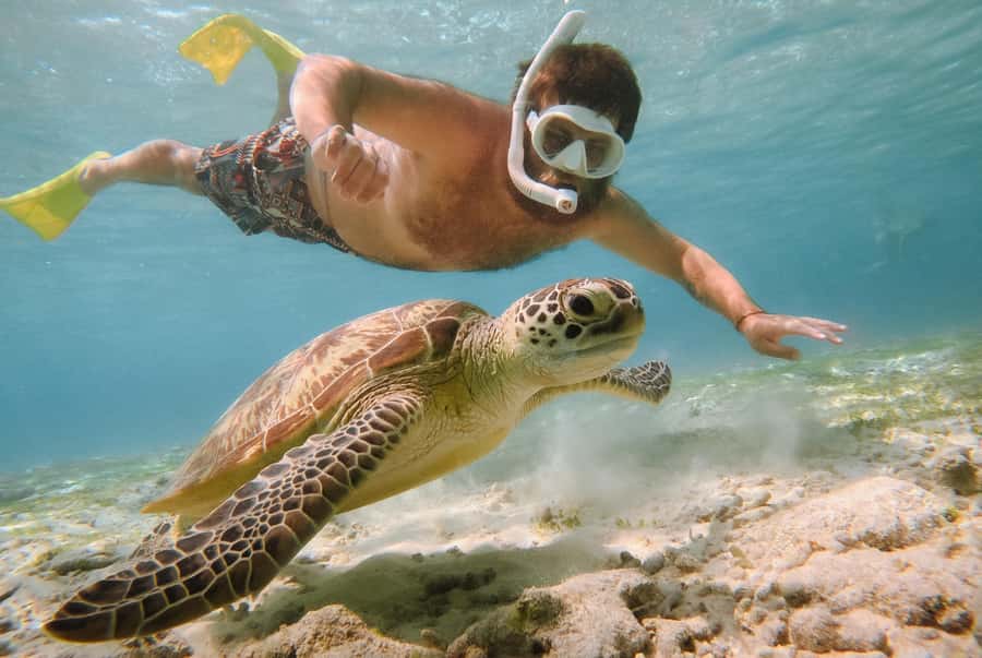From Gili Air: Snorkeling with Turtles & Underwater Statue - Getting started at Oseana on Gili Air, plus the fin-fit tip