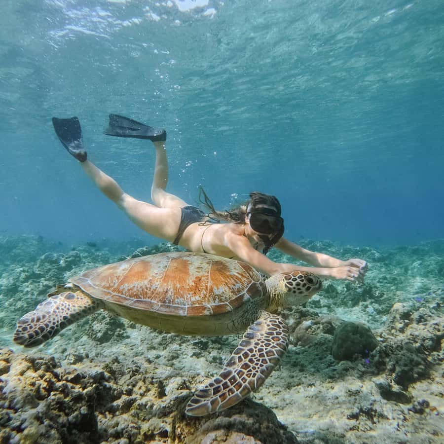 From Gili Meno: Private Snorkeling with Turtle & Statue - Key highlights worth caring about