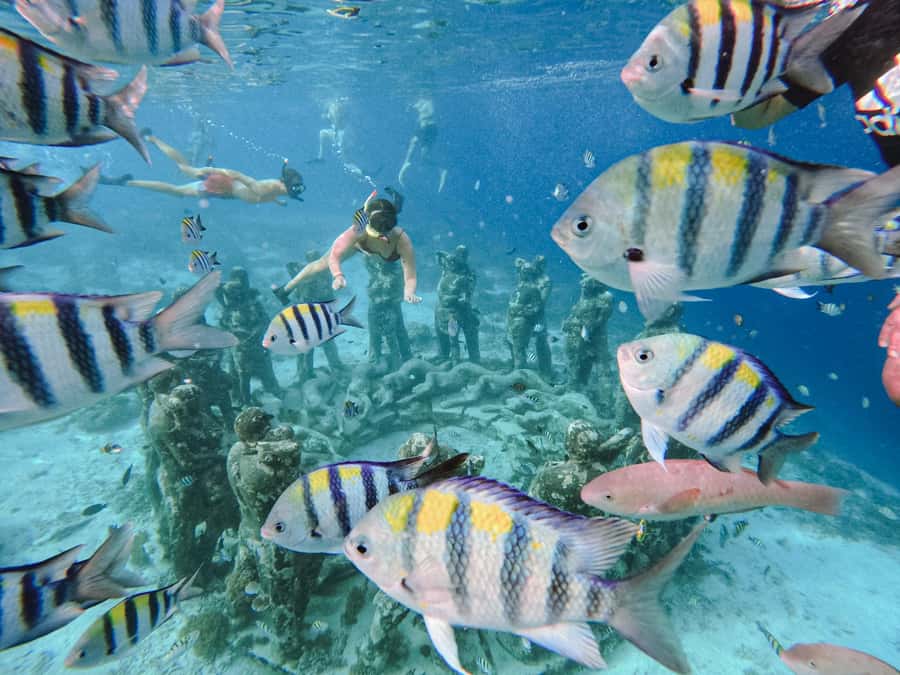 From Gili Meno: Private Snorkeling with Turtle & Statue - From Diana Cafe to the Glass-Bottom Boat: How the Tour Starts