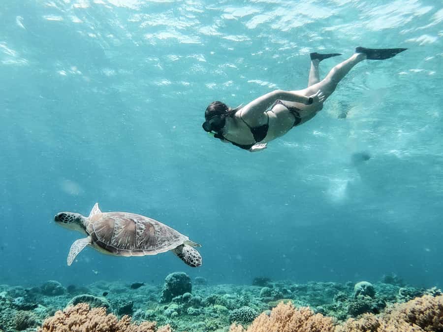 From Gili Meno: Private Snorkeling with Turtle & Statue - Three Stops, One Goal: Sea Turtles, Coral, and Underwater Statues