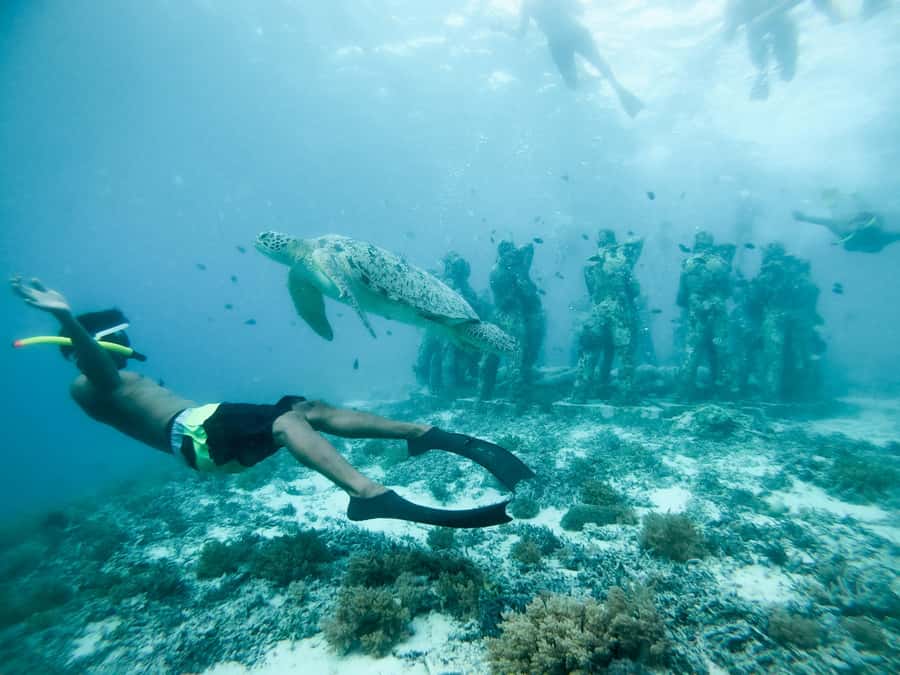 From Gili Meno: Private Snorkeling with Turtle & Statue - GoPro Camera Footage: Turning a Swim Into Shareable Memories