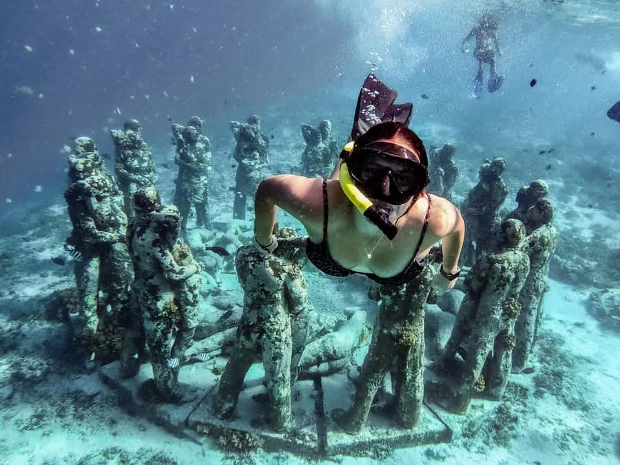 From Gili Meno: Private Snorkeling with Turtle & Statue - Should You Book This Turtle and Statue Snorkeling Tour?