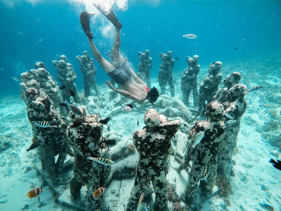 From Gili Meno: Private Snorkeling with Turtle & Statue - Private Snorkeling on Gili Meno: What You Really Get for $83