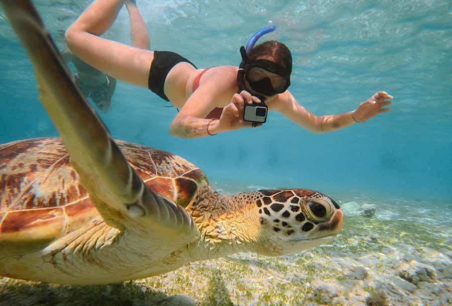 From Gili Trawangan: Gili Islands Snorkeling Boat Tour - Key things to know before you go