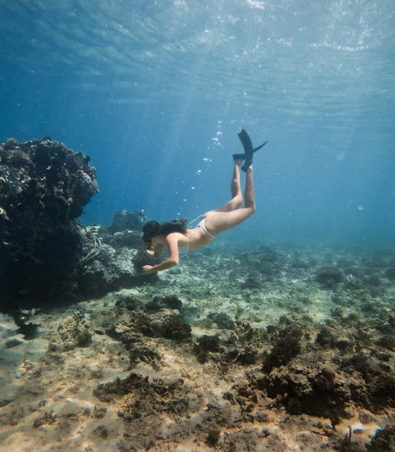 From Gili Trawangan: Gili Islands Snorkeling Boat Tour - Turtle point and coral: what to watch for in the water
