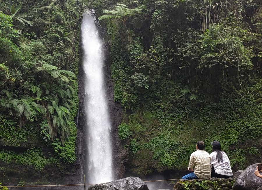 From Jakarta: Situ Gunung Suspension Bridge & Waterfall Tour - Who should book, and who should skip it