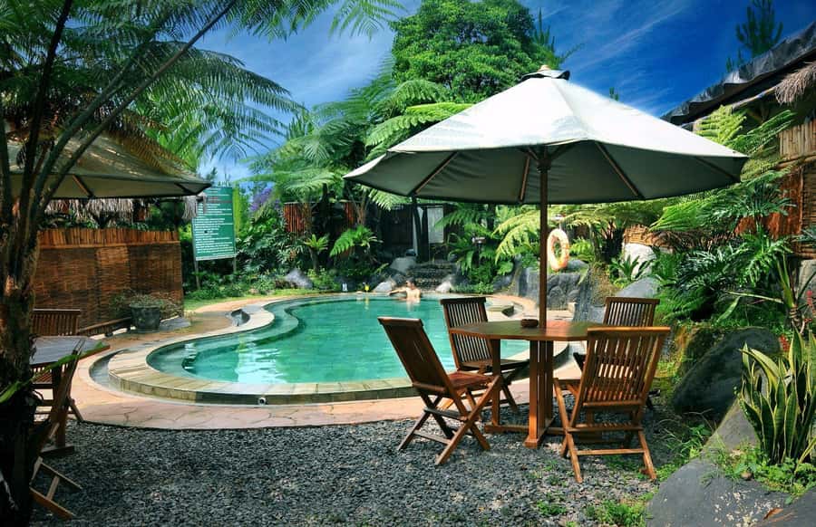 From Jakarta : Volcano, Tea & Rice Fields, Hot Spring - Luwak Coffee in Cikole: A Tasting Stop That Makes Sense