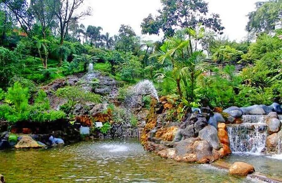 From Jakarta : Volcano, Tea & Rice Fields, Hot Spring - Lunch, Local Body Massage, and Keeping Your Energy Up