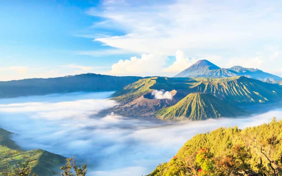 From Jakarta: Yogyakarta, Borobudur, Bromo, Ijen & Bali Tour - Day 2 in Jakarta: Markets, Museums, and Chinatown