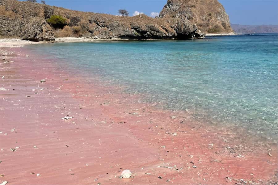 From Labuan Bajo: Komodo Dragons and Island Hop with All Fee - From Labuan Bajo Hotel Pickup to Speedboat Island Hopping