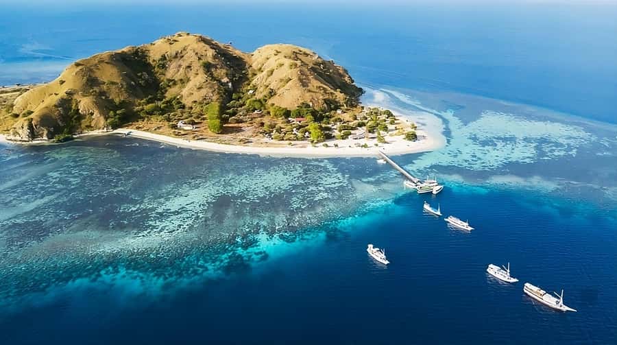 From Labuan Bajo: Komodo Island Day Tour with Snorkeling - Snorkeling at Manta Point: the highlight that depends on nature