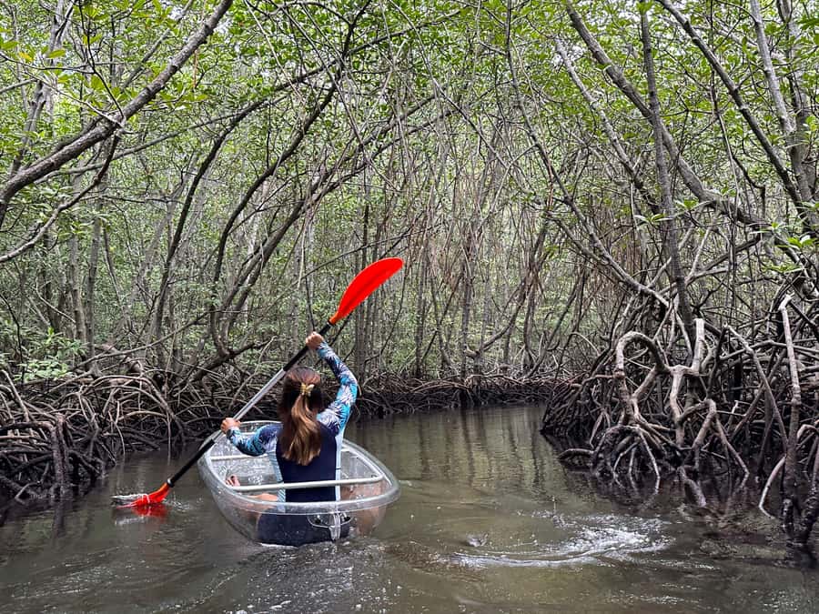 From Lembongan: Kayak/Paddleboard/Boat Mangrove Tour - Pickup and Getting to Mangrove Point