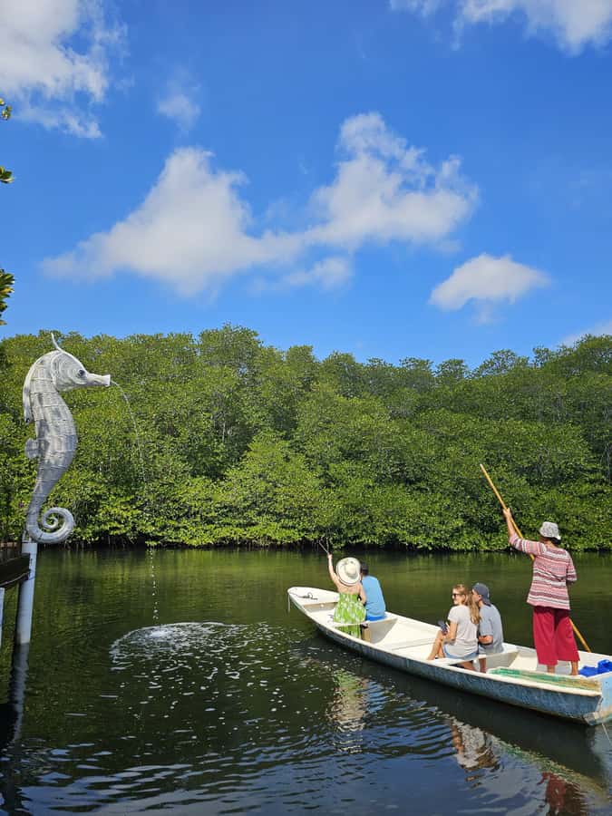 From Lembongan: Kayak/Paddleboard/Boat Mangrove Tour - Transparent Boats and Kayaks: When You See Underwater Life