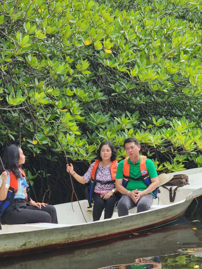 From Lembongan: Kayak/Paddleboard/Boat Mangrove Tour - Who This Tour Suits Best (and Who Should Skip It)