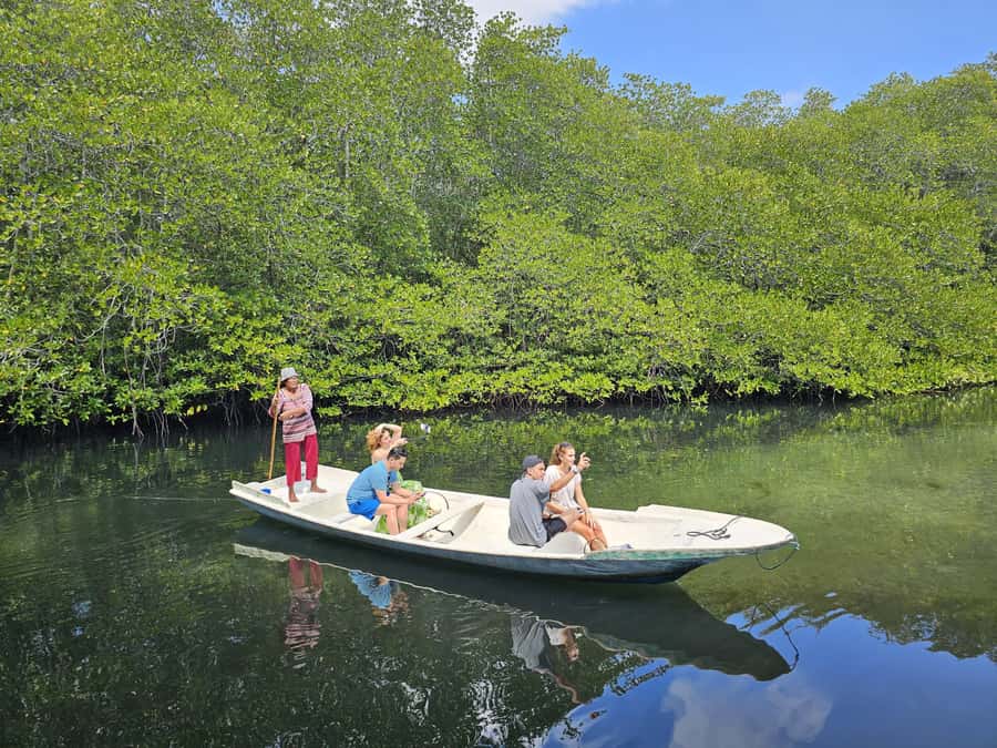 From Lembongan: Kayak/Paddleboard/Boat Mangrove Tour - Price and Value at About $10 Per Person