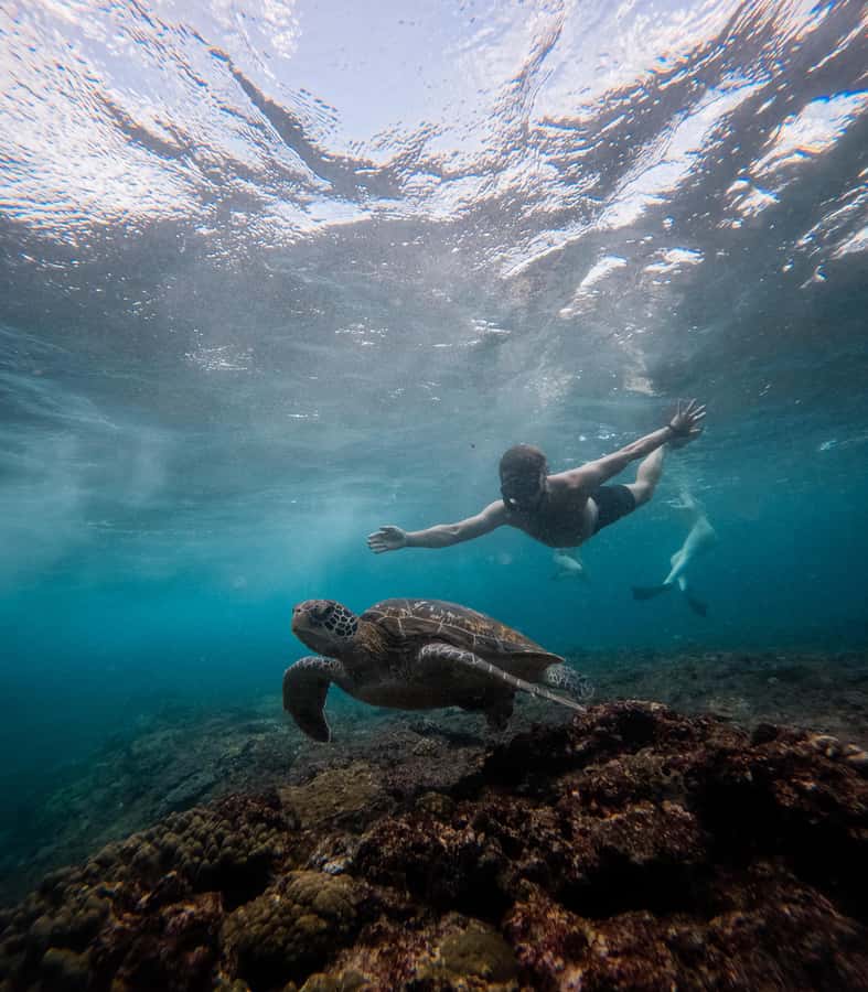 From Lembongan: Manta Point Snorkeling & West Penida Tour - Gamat Bay and The Wall: extra water time that improves your odds