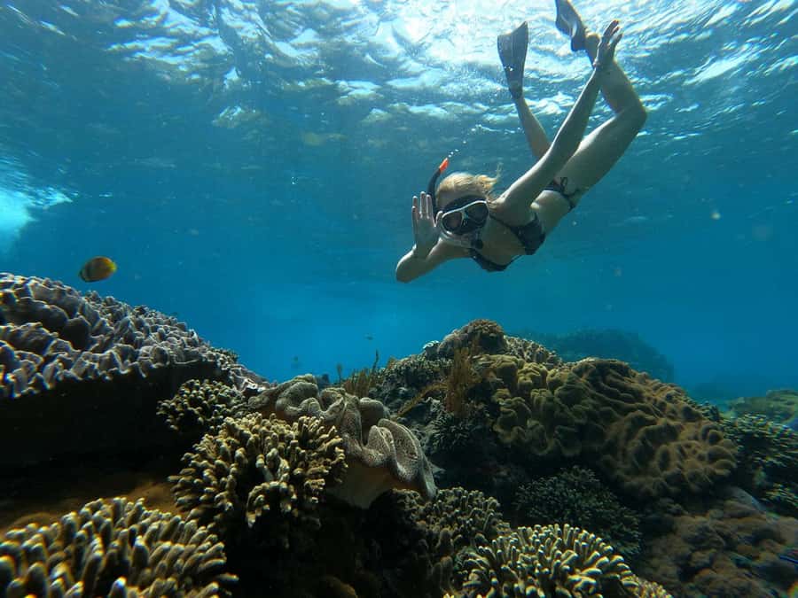 From Lembongan: Manta Point Snorkeling & West Penida Tour - Pasih Uug Beach and the west-coast viewpoint rhythm