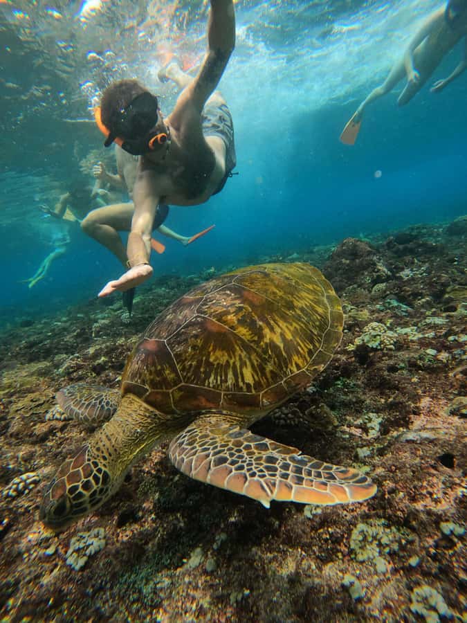 From Lembongan: Nusa Penida Private Snorkeling & West Tour - Should you book this Nusa Penida private snorkeling and west tour?