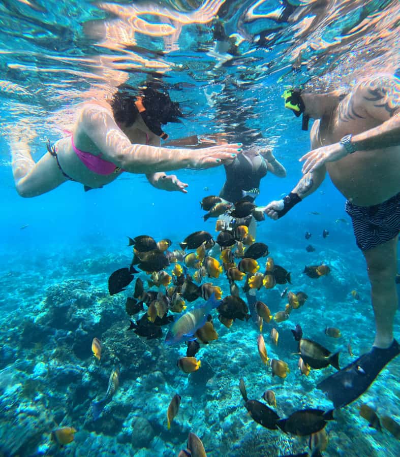 From Lembongan: Nusa Penida Private Snorkeling & West Tour - Penida’s west coast by private car: Kelingking and the cliff viewpoints