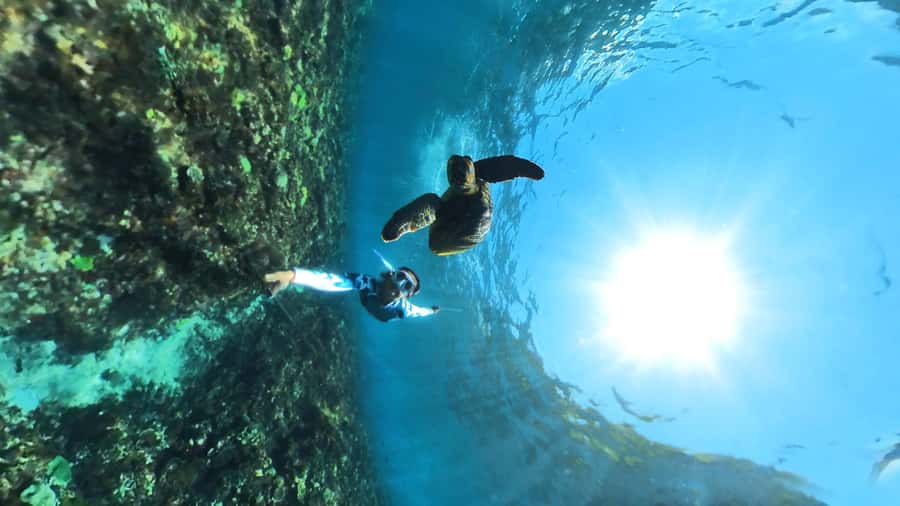 From Lembongan: Nusa Penida Snorkeling Day Trip - Key highlights at a glance