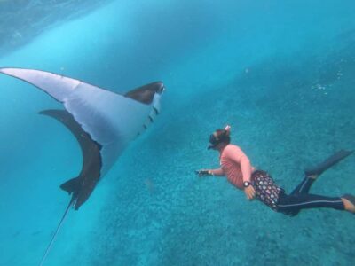 From Lembongan: Nusa Penida Snorkeling Day Trip