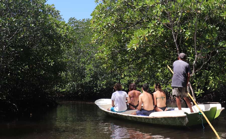 From Lembongan: Snorkeling 3 Spots, Mangrove and Land Tour - Manta Bay Reality Check: Why This Swim Is Worth It