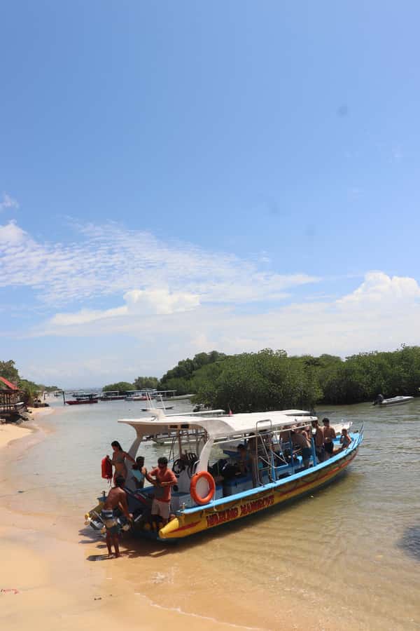 From Lembongan: Snorkeling 3 Spots, Mangrove and Land Tour - The Mangrove Ride and Gondola Stop: A Nice Change of Pace