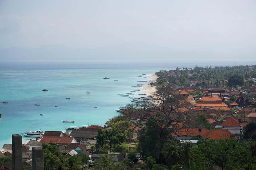 From Lembongan: Snorkeling 3 Spots, Mangrove and Land Tour - Price and Value: Why About $23 Can Make Sense