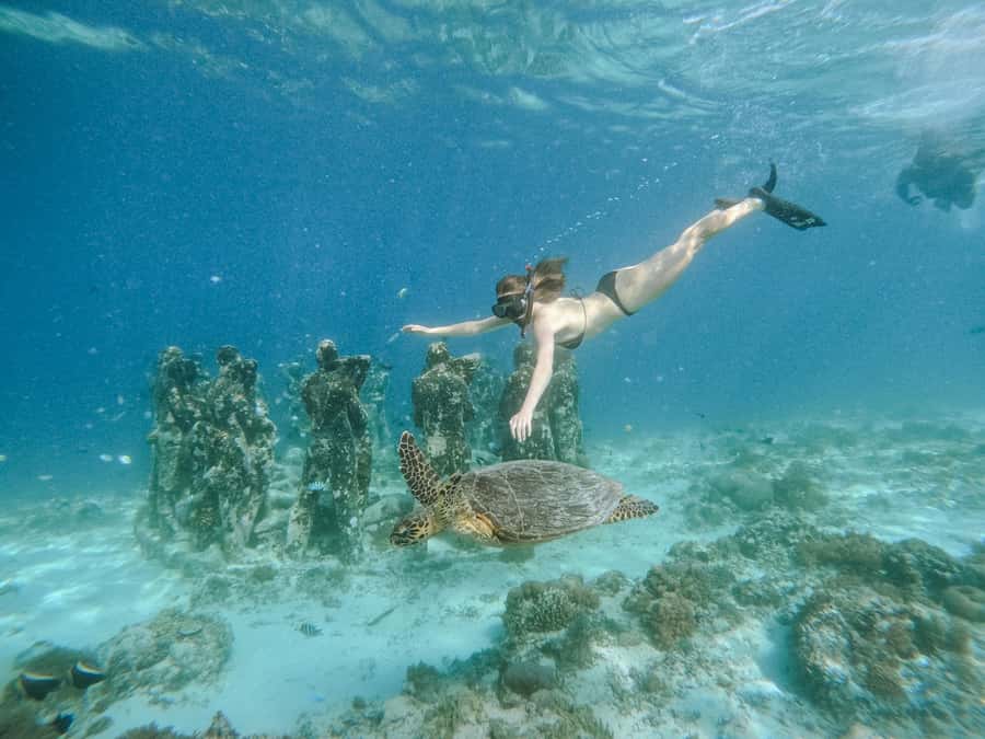 From Lombok: 3 Gili Islands Private Snorkeling Adventure - Key things I’d pay attention to